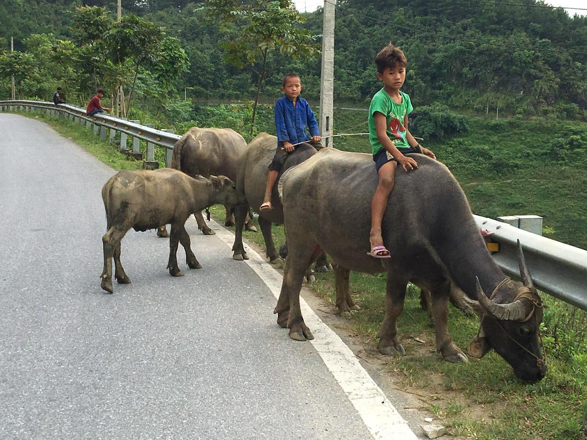 Thap Tam Royal Hotel Ninh Binh Eksteriør billede